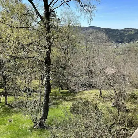 Chalet La Parenthese Le Tholy