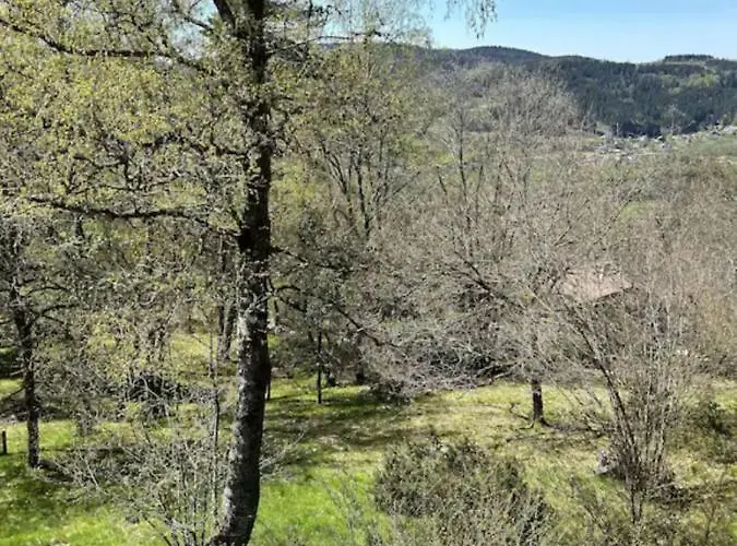 Horská chata La Parenthese Le Tholy